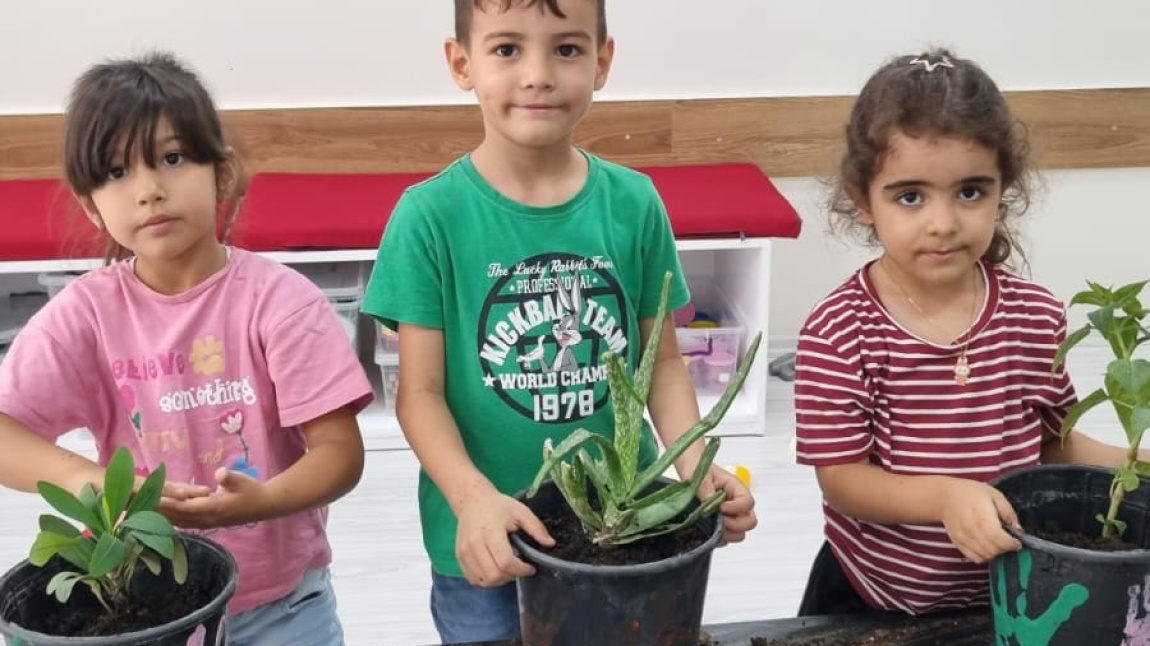 YEŞİLİ KORUYALIM